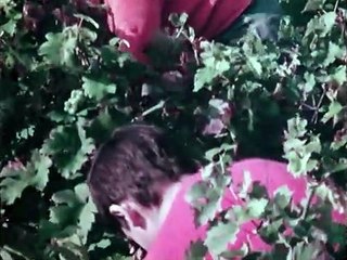 PBS NOVA - The Great Wine Revolution (Part 1)