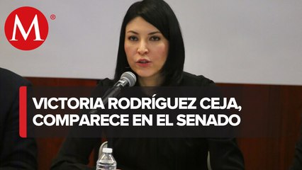 Gobernadora del Banco de México comparece ante comisión del Senado