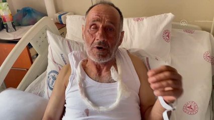 Ayı saldırısına uğrayan çoban yaralı kurtuldu