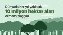(VİDEO-GRAFİK) Dünyada 30 yılda Türkiye'nin 5 katı büyüklüğünde orman yok oldu