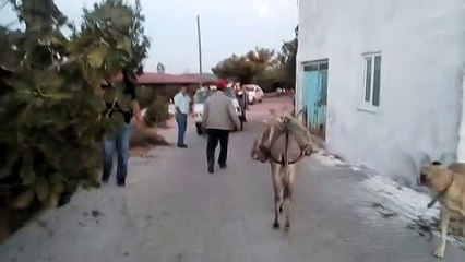 Nadir Saltık - eşek şakası