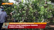 Productores yerbateros tendrán cobertura médica