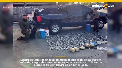Los propietarios de un restaurante de mariscos de Texas podrían enfrentar cargos después de que se encuentren aletas de tiburón en su propiedad.