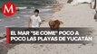 Playas de Yucatán sufren erosión por cambio climático