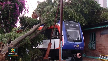 tn7-Lluvias-provocaron-el-colapso-de-alcantarillados-y-caída-de-árboles-210422