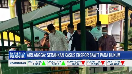 Airlangga Hartarto Dukung Pengusutan Tuntas Kasus Ekspor Minyak Kelapa Sawit di Indonesia