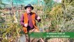 La minute jardin - Zoom sur comment planter un arbre en permaculture ?