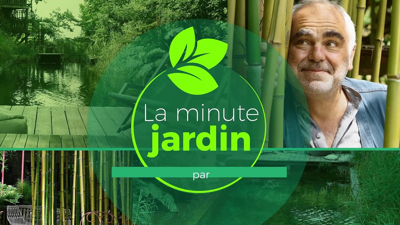 La minute jardin - Zoom sur comment installer des plantes aromatiques dans une jardinière ?