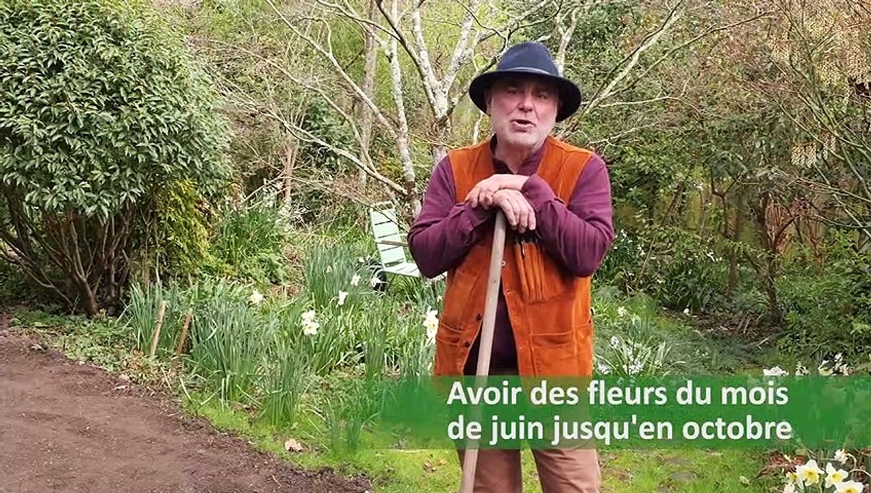 La minute jardin - Zoom sur semer une prairie fleurie : pourquoi et comment procéder ?