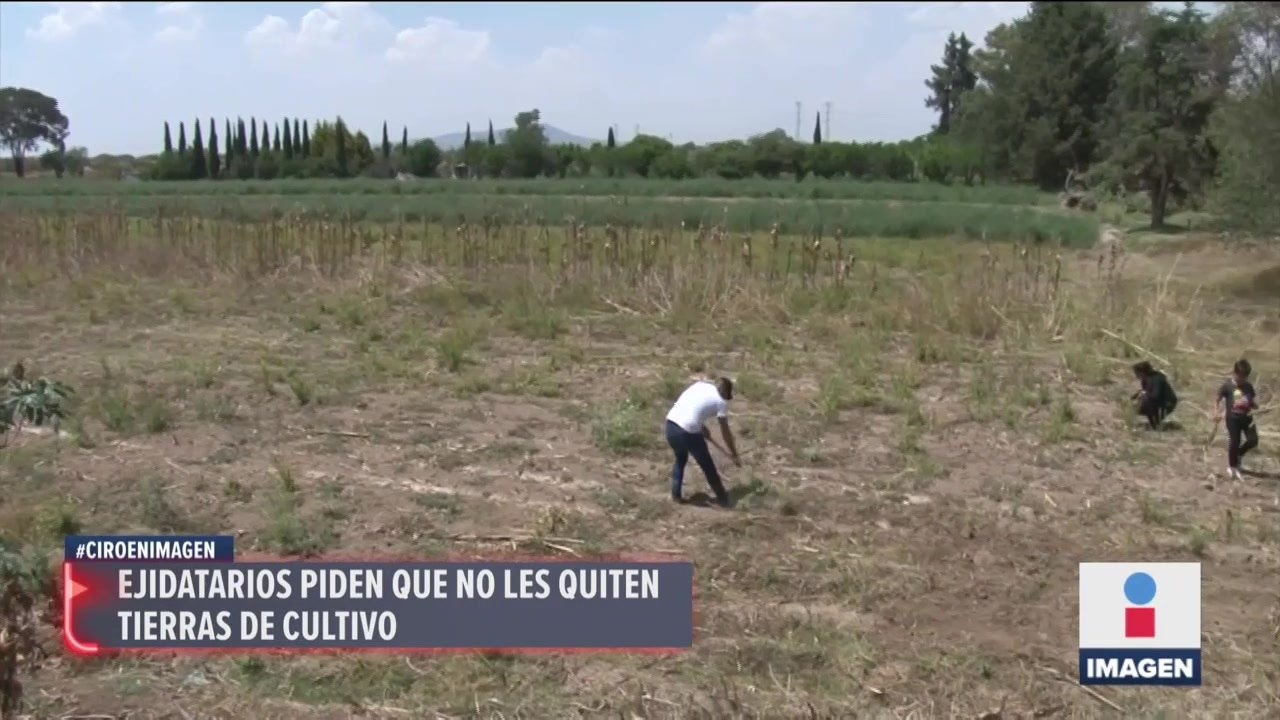 Ejidatarios de Atenco piden que no les quiten tierras de cultivo