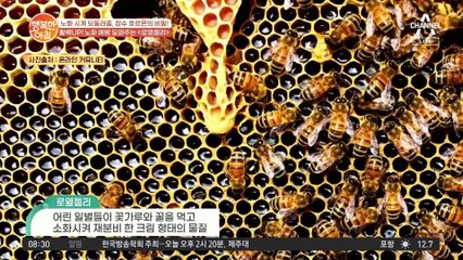 활력 UP! 영국 엘리자베스 여왕도 즐겨먹는 노화 예방 건강식 '로열젤리'♥