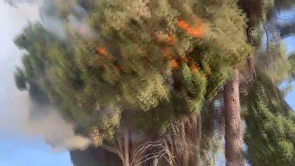 Son dakika haberi: İsrail polisi Mescid-i Aksa'ya baskın düzenledi (4)