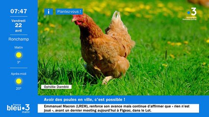 22/04/2022 - Le 6/9 de France Bleu Belfort Montbéliard en vidéo