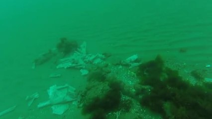Toallitas higiénicas ensucian la costa de Marbella