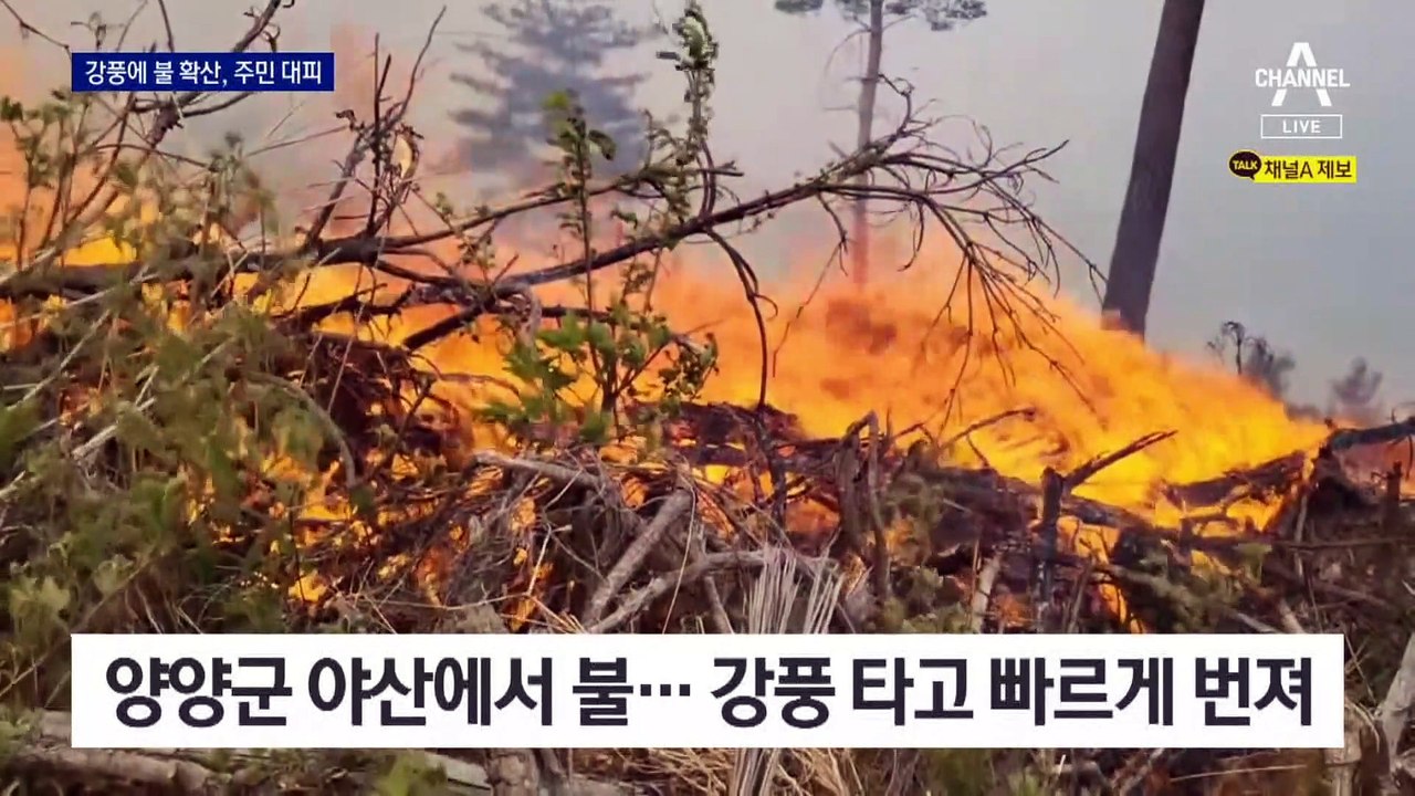 바람만 불면 게릴라처럼…양양 산불 확산에 주민 대피