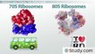 Inhibitors of Protein Synthesis- How Antibiotics Target the Bacterial Ribosome