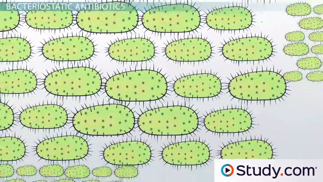 Types of Antibiotics- Bactericidal vs. Bacteriostatic & Narrow Spectrum vs. Broad Spectrum