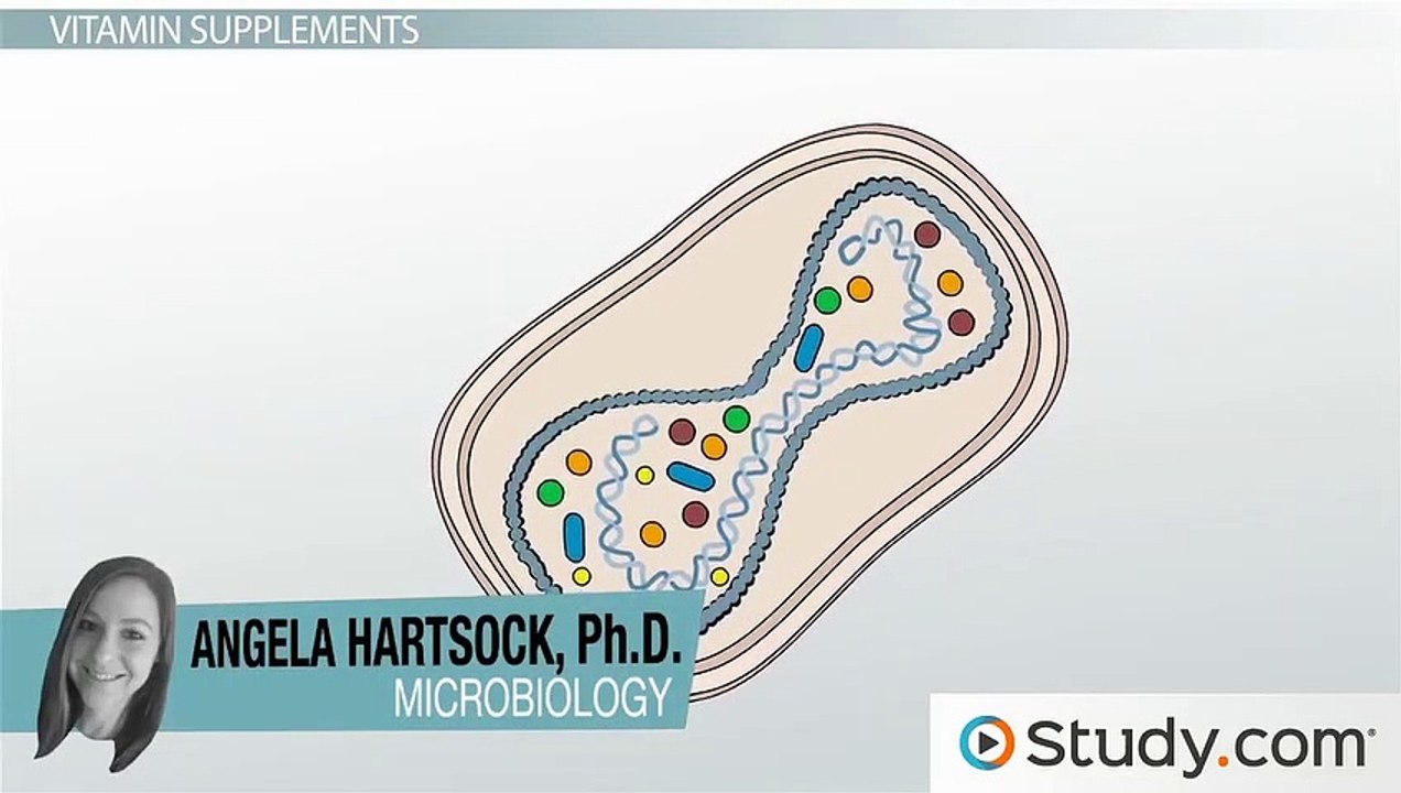Microbial Factories- Using Bacteria to Make Specific Compounds