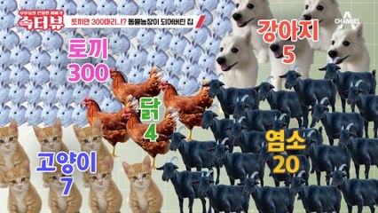 [속터뷰] 아내 몰래 토끼 300마리까지 교배시킨 남편, 동물들 걱정에 입원 거부까지!?
