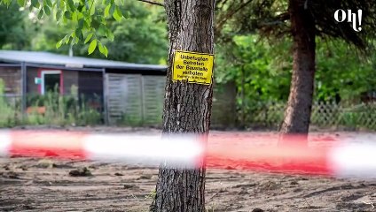 Affaire Maddie : qui est Christian Brückner, l'homme arrêté 15 ans après la disparition de la petite fille ?