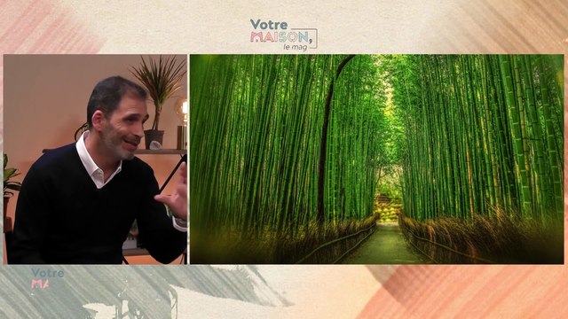 Votre maison, le mag - Poêles à Bois, Déco de Table & Nuisibles