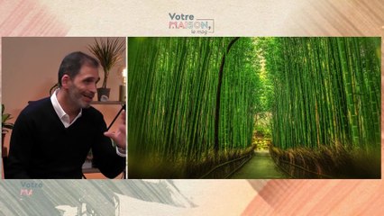 Votre maison, le mag - Poêles à Bois, Déco de Table & Nuisibles