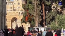 مواجهات بين الفلسطينيين وقوات الاحتلال وحريق أشجار في الأقصى
