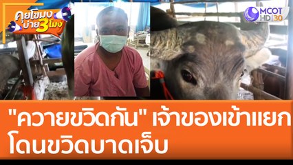 "ควายขวิดกัน" เจ้าของเข้าแยก โดนขวิดบาดเจ็บ (22 เม.ย. 65) คุยโขมงบ่าย 3 โมง