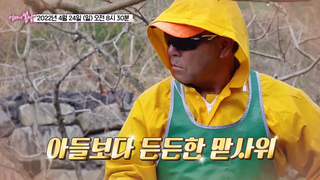 “미안하다, 사랑한다” 딸부잣집 명임엄마_엄마의 봄날 345회 예고 TV CHOSUN...