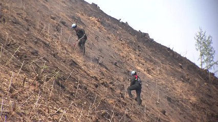 마른 강풍 속 산불 비상..."불씨 취급 주의!" / YTN