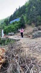 Une femme sonne l'heure du déjeuner pour les poules