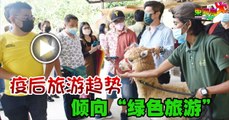 疫后旅游趋势倾向“绿色旅游”