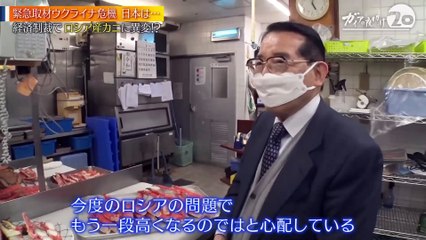 20220408【ウクライナ危機 その時、日本は…】ガイアの夜明け