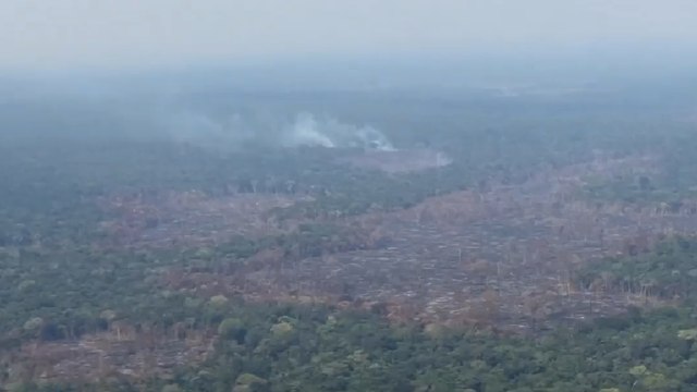 “Tenemos cerca de 170 mil hectáreas anuales deforestadas”: Minambiente