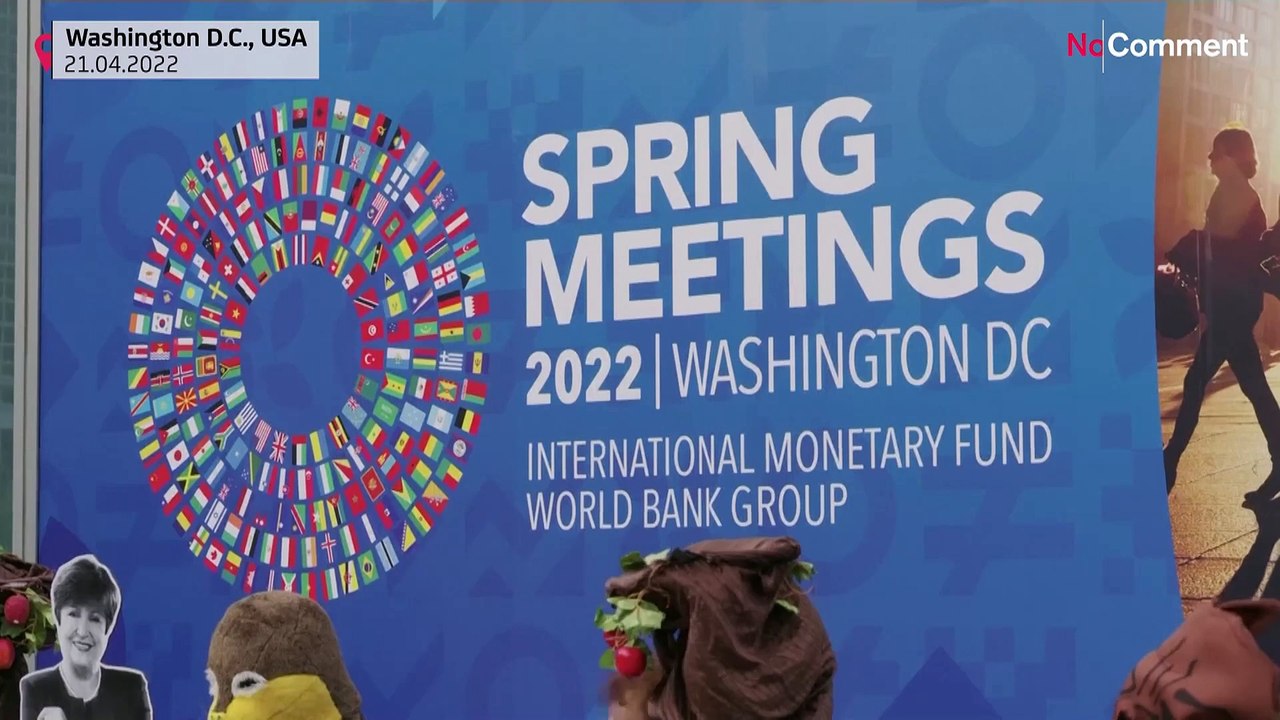 Demonstrators dressed as animals flock to the IMF to appeal for long-term investment in nature
