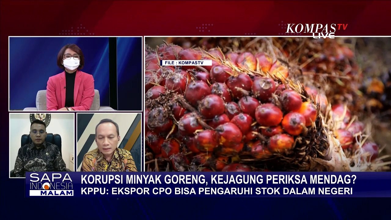 Korupsi Ekspor Minyak Goreng, Kejagung Periksa Mendag? - Video Dailymotion