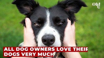 Dogs: Should you be sleeping with your dog at night?