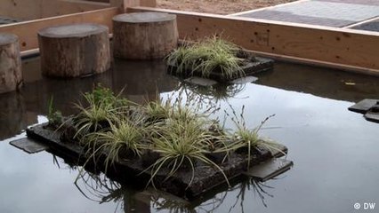 Grüner Wohnen: Innovative Ideen für den Städtebau