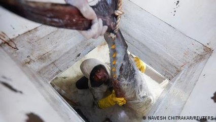 Can Sri Lanka's fishing communities be saved?