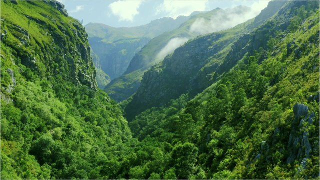 Pour la journée de la Terre, Google crée des doodles pour montrer les effets du changement climatique sur la planète