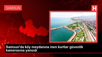 Köy meydanına inen kurtlar güvenlik kamerasına yansıdı