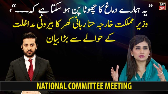 Foreign Minister Hina Rabbani Khar big statement regarding foreign interference
