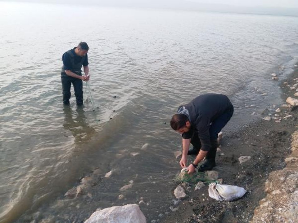VAN GÖLÜ'NDE 100 METRE UZATMA AĞI VE 10 KİLO İNCİ KEFALİ BULUNDU