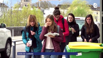 Le JT - 22/04/22 - Ukrainiens, plantes urbaines, Vercors Music Festival