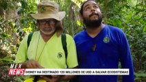 ¿SABÍAS QUE DISNEY CUENTA CON UN FONDO PARA PROTEGER AL PLANETA?