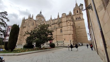 Visita al itinerario 'Ieronimus' en las torres de la Catedral de Salamanca