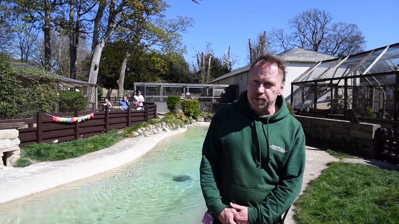 Penguins at Sewerby Hall