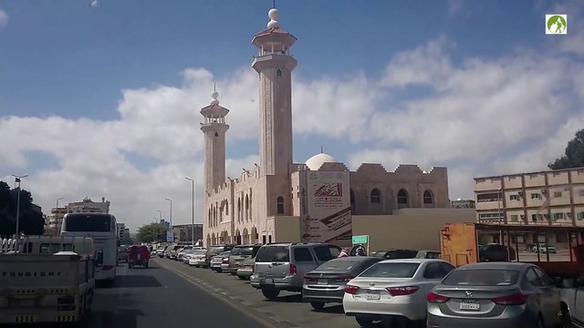Traveling Saudi Arabia Taif City Tour By Bus Middle East