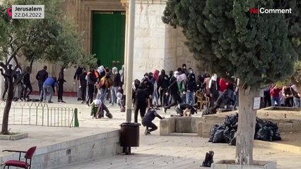 Viele Verletzte bei neuen Zusammenstößen auf dem Tempelberg