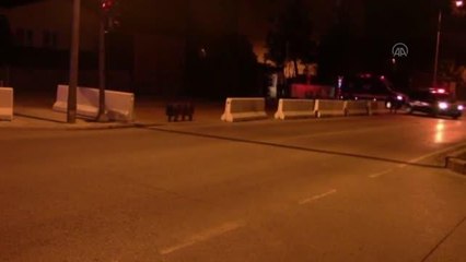 Üniversite öğrencilerine uyuşturucu temin etmekle suçlanan 7 şüpheli tutuklandı